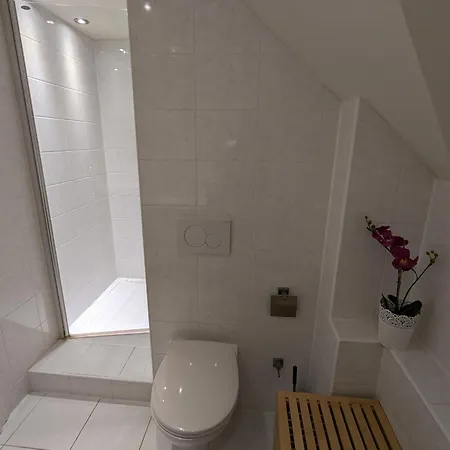 Holiday home Aantengoessel Born